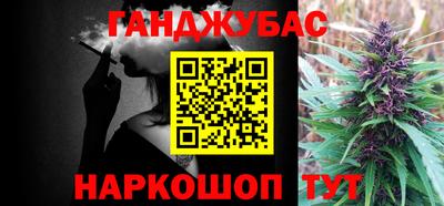 шишки Гусиноозёрск
