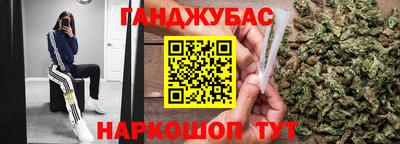 шишки Гусиноозёрск