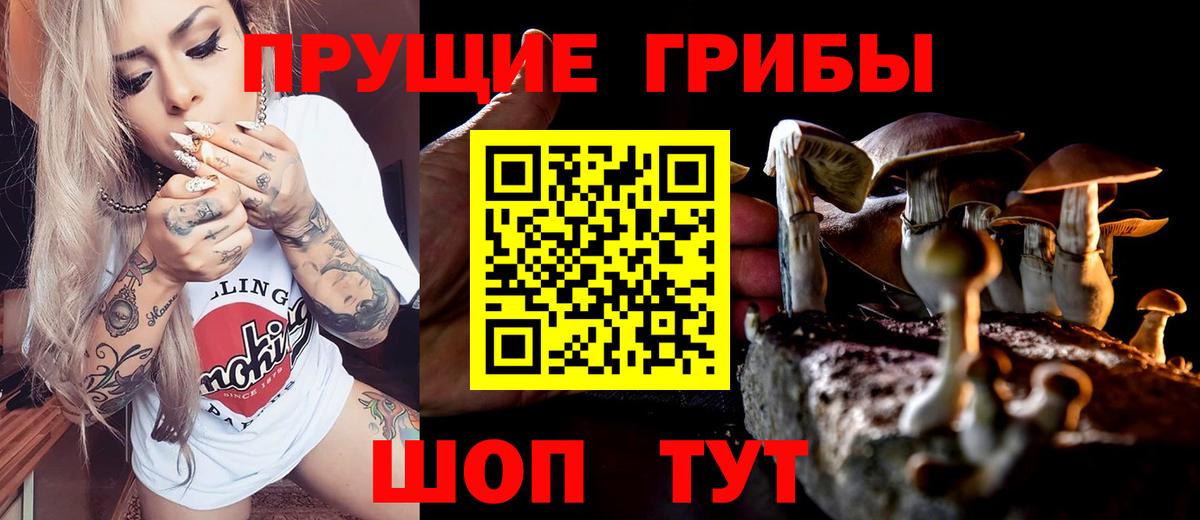 Галлюциногенные грибы ЛСД Мценск