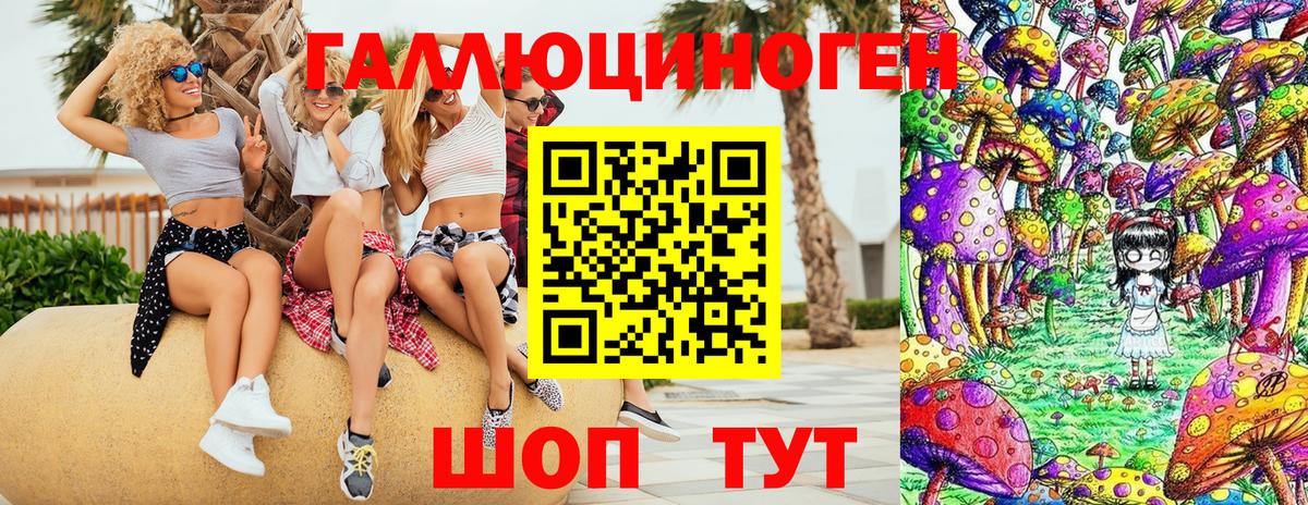 Галлюциногенные грибы Psilocybe  Вход с VPN  Мценск 